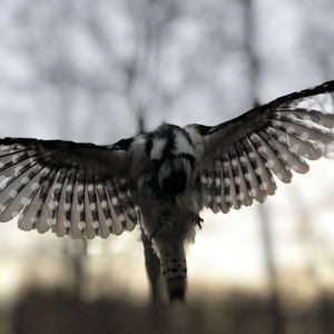 Meet your Posher, Zachary